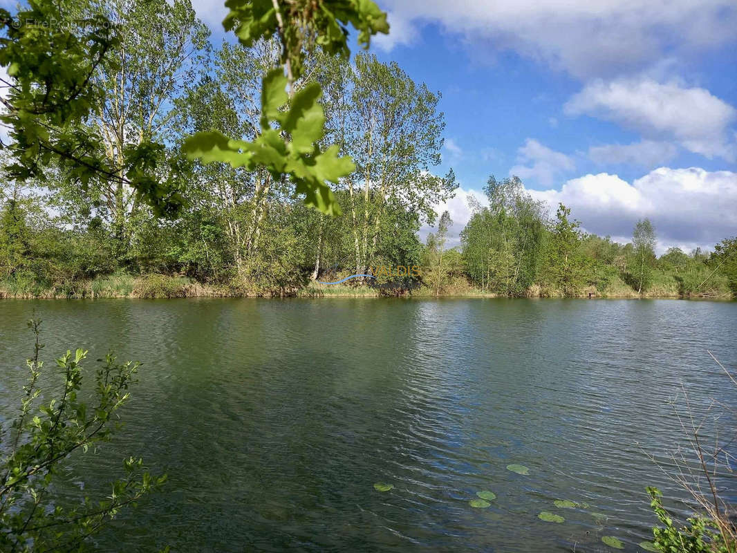 Terrain à BUCY-LE-LONG