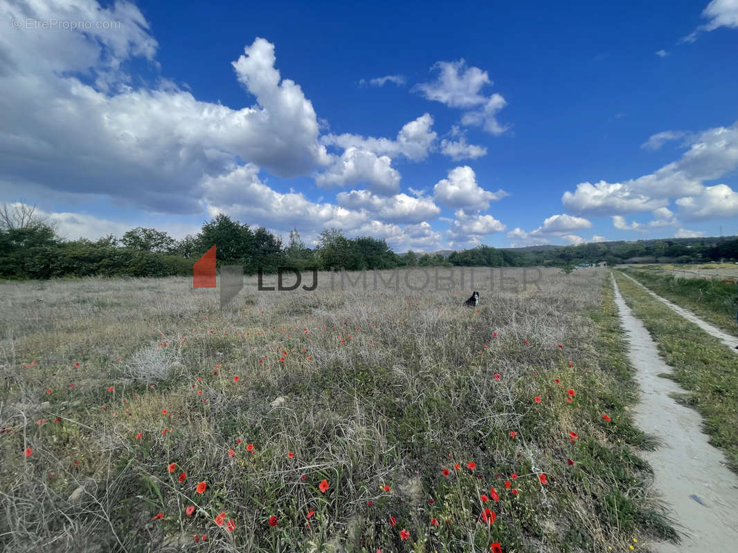 Terrain à SAINT-JEAN-PLA-DE-CORTS