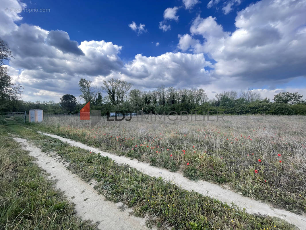 Terrain à SAINT-JEAN-PLA-DE-CORTS