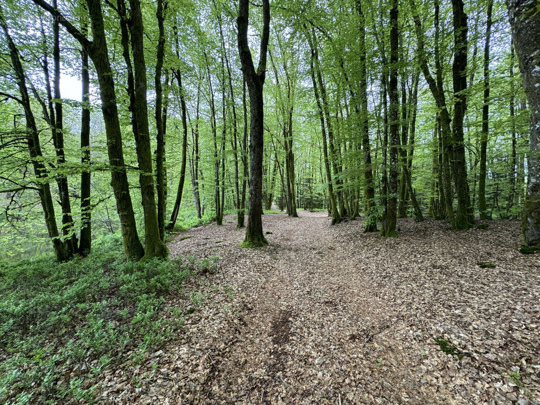 Terrain à SERVANCE