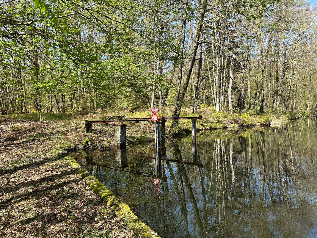 Terrain à SERVANCE