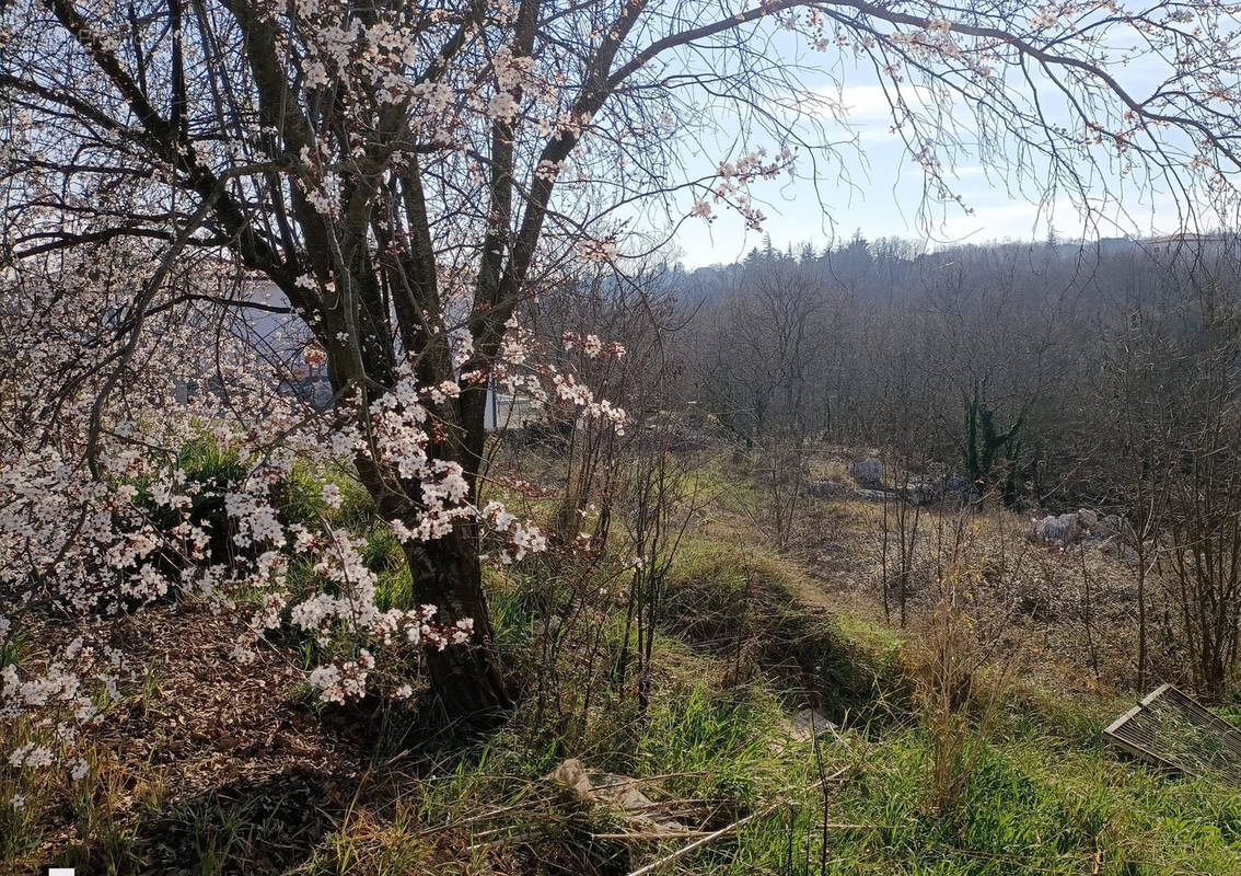 Terrain à LAVILLEDIEU