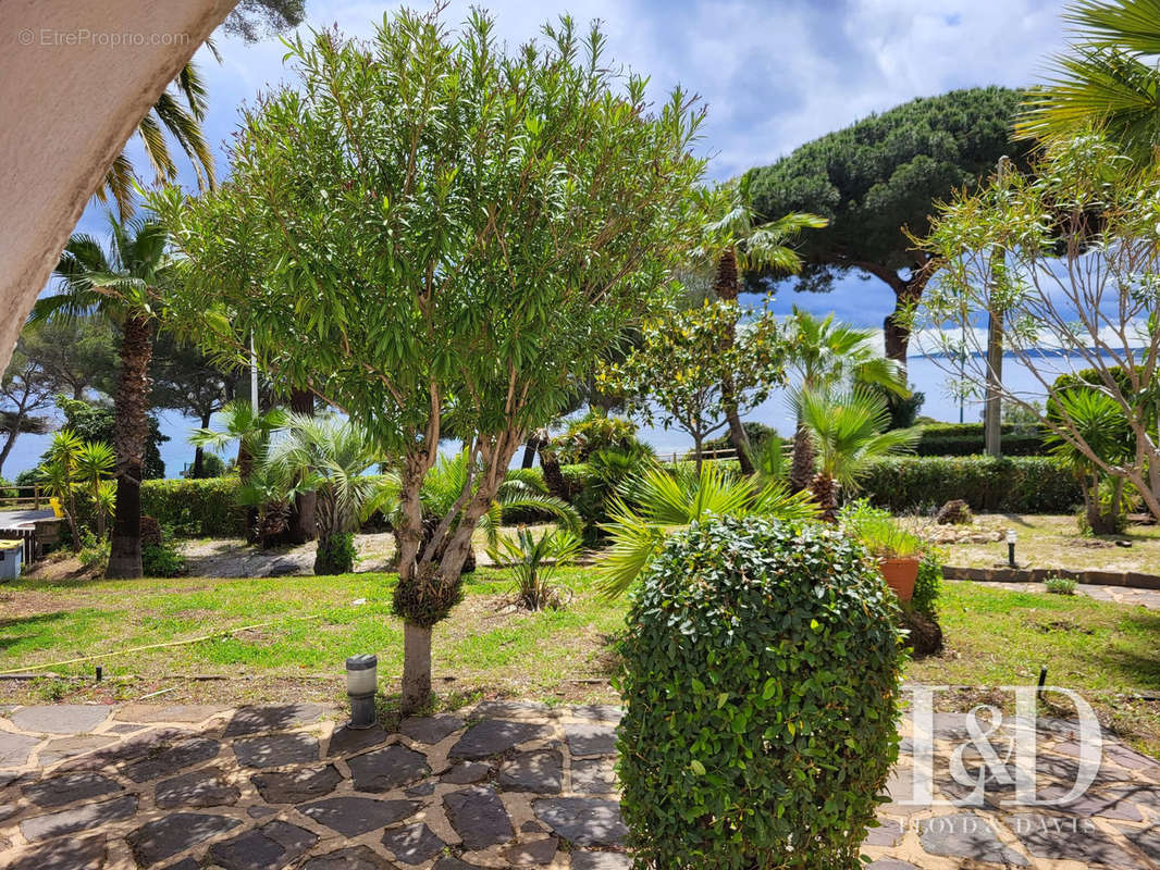 Maison à ROQUEBRUNE-SUR-ARGENS