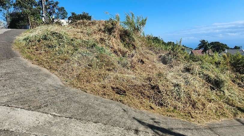 Terrain à SAINT-DENIS