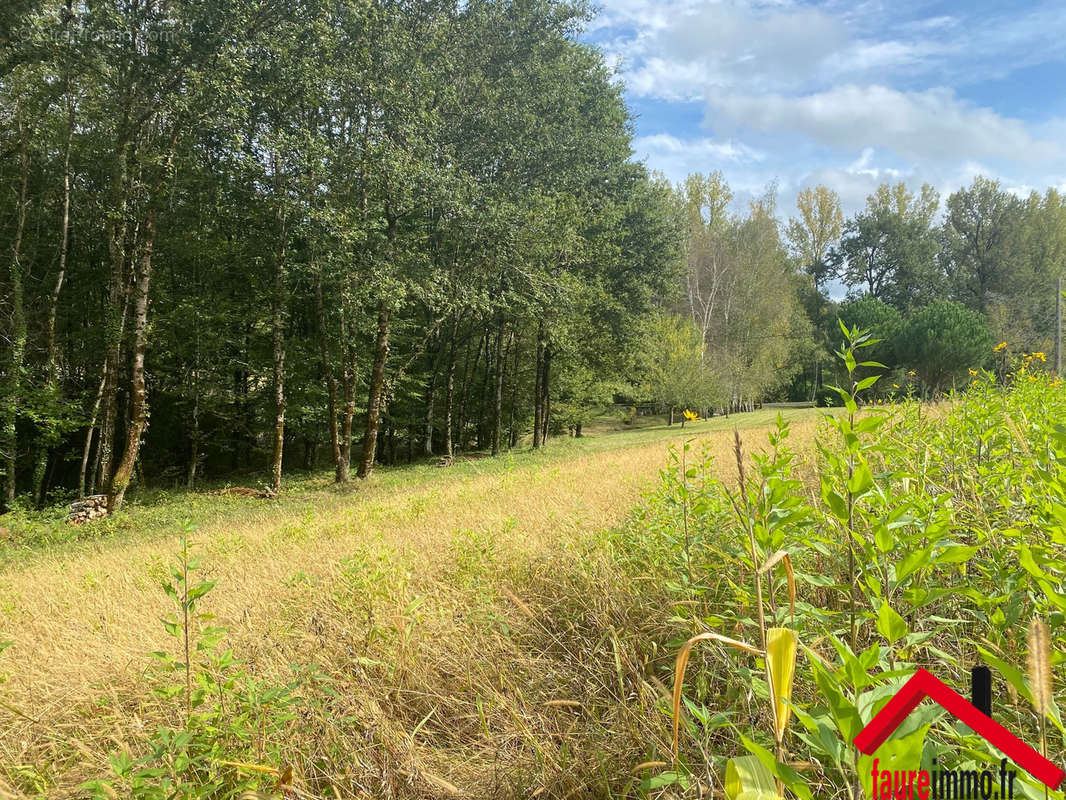 Terrain à SAINT-PANTALEON-DE-LARCHE