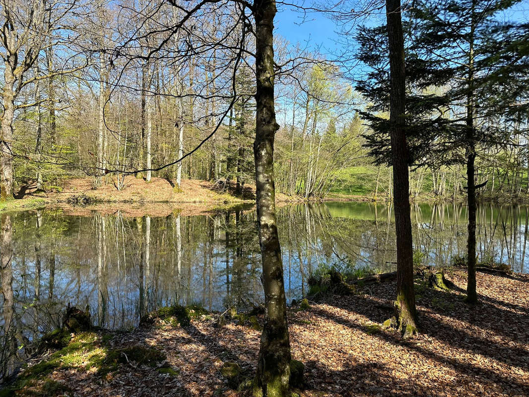 Terrain à SERVANCE