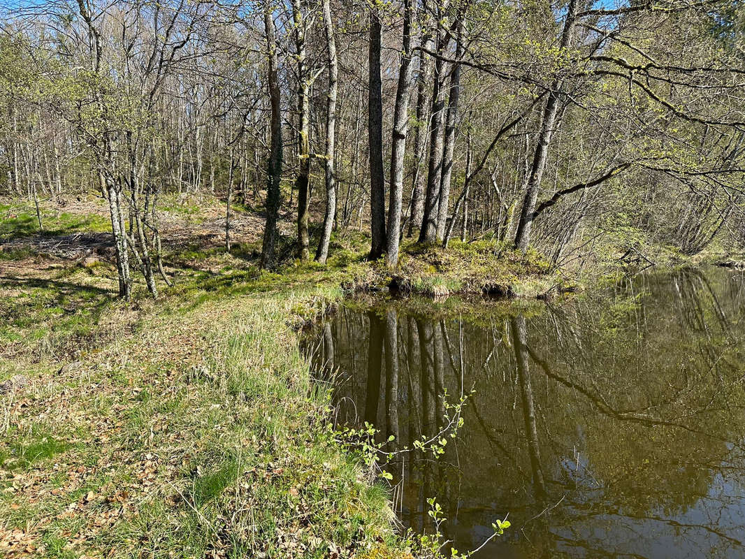 Terrain à SERVANCE