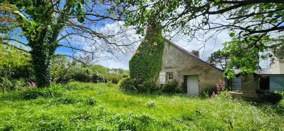 Maison à MOELAN-SUR-MER