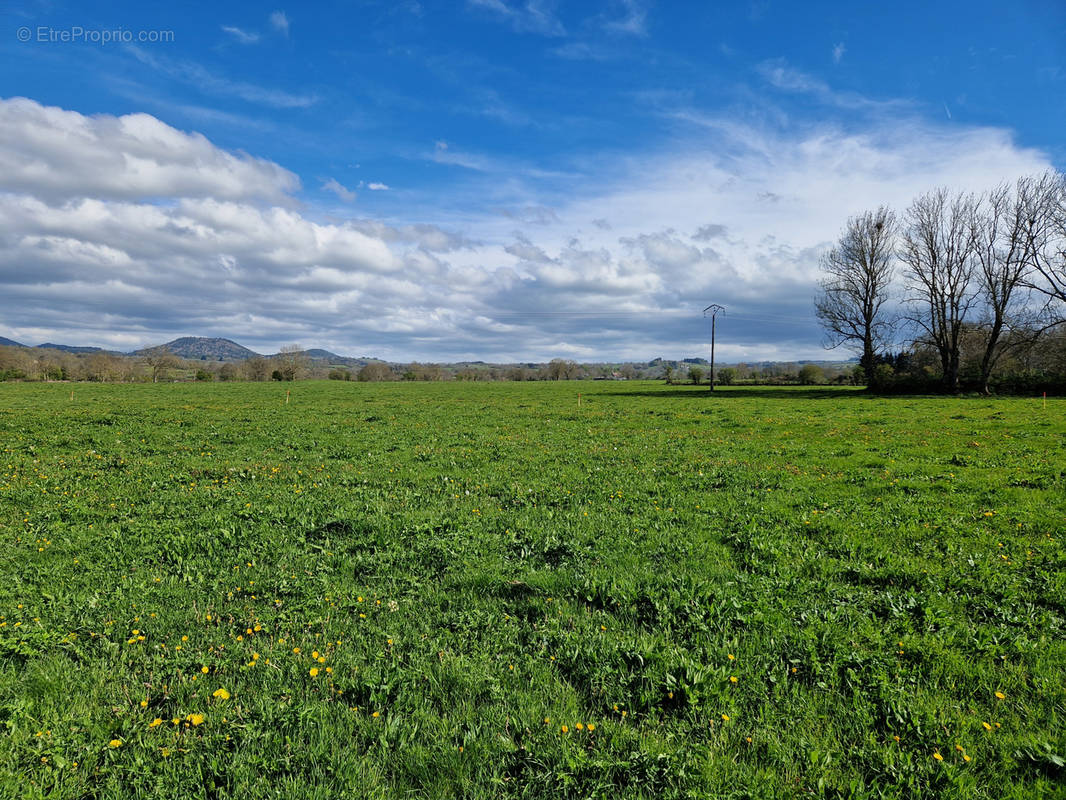 Terrain à OLBY