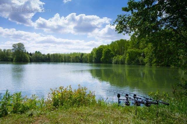 Terrain à SERY-LES-MEZIERES