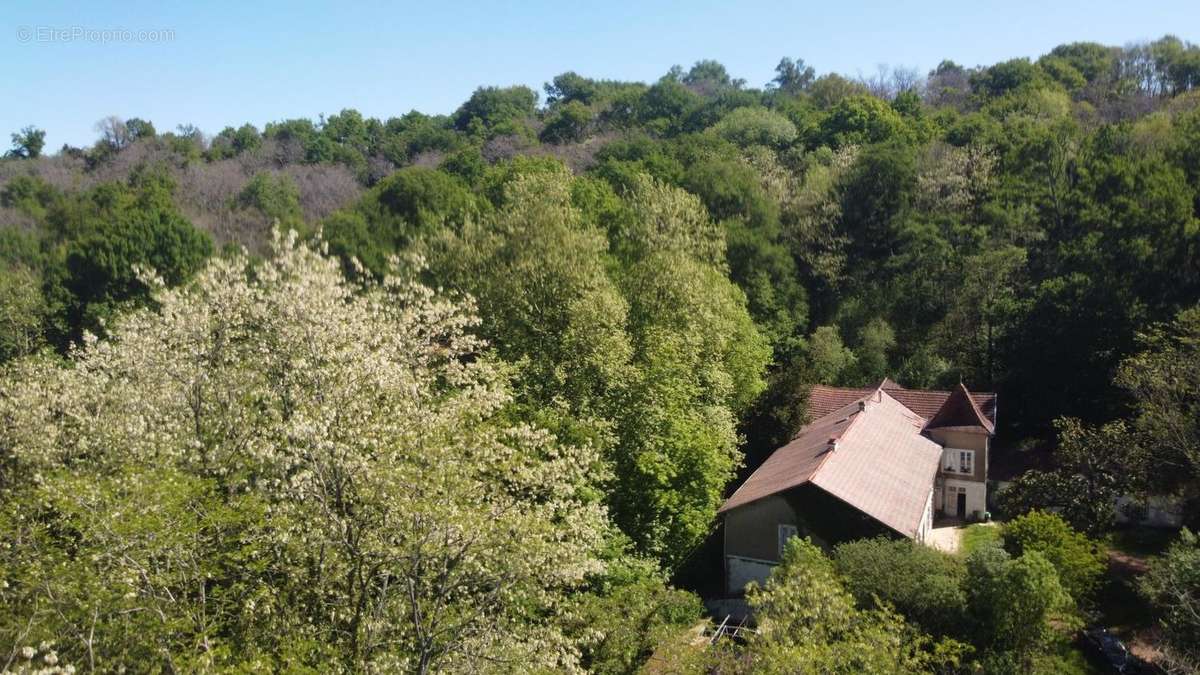 Photo 5 - Appartement à AIRE-SUR-L&#039;ADOUR