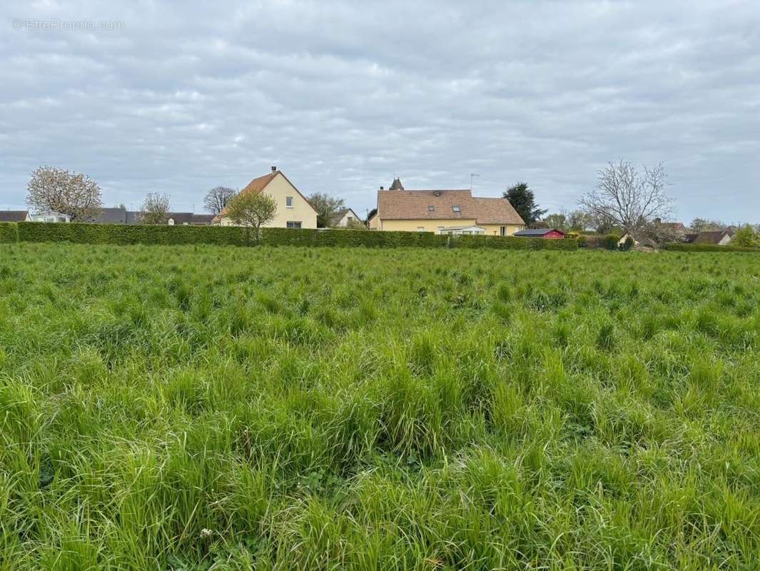 Terrain à DOMPIERRE