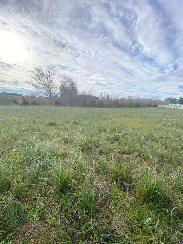 Terrain à VINASSAN