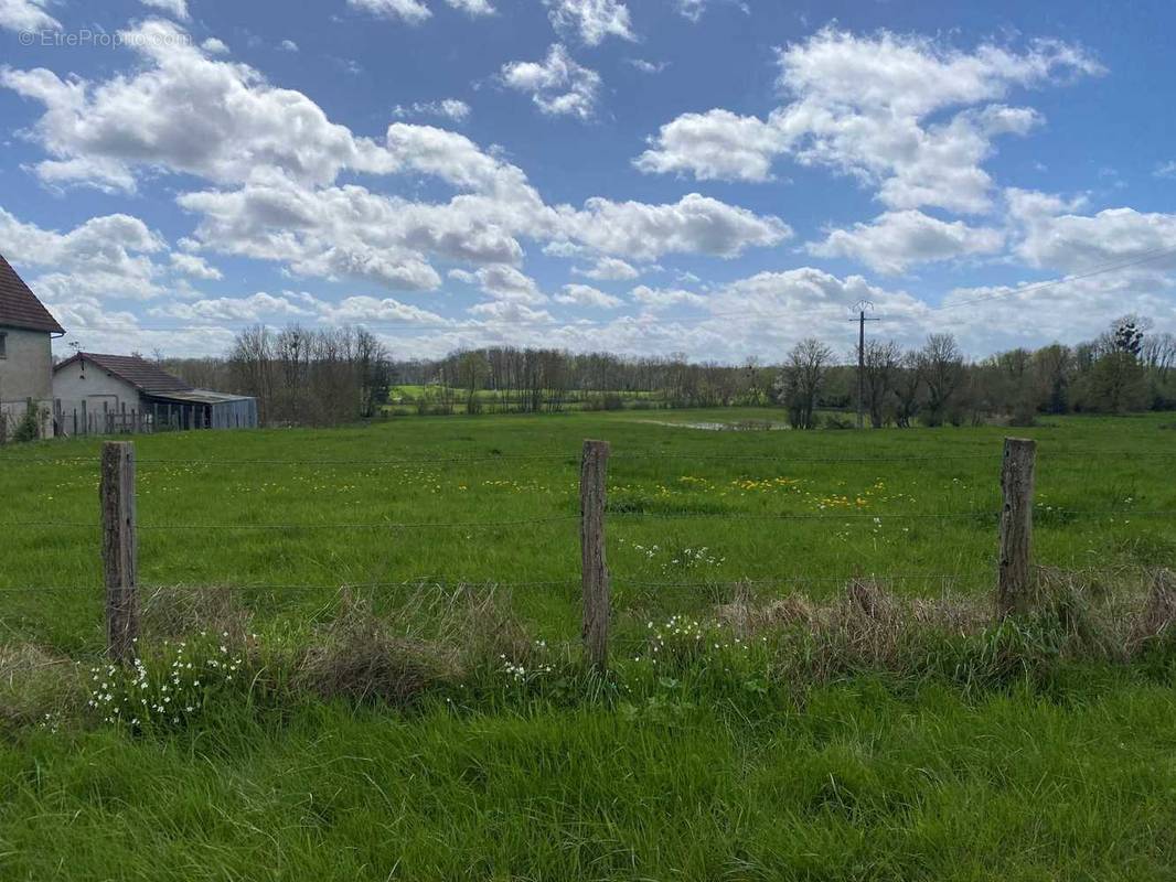 Terrain à MENNETOU-SUR-CHER