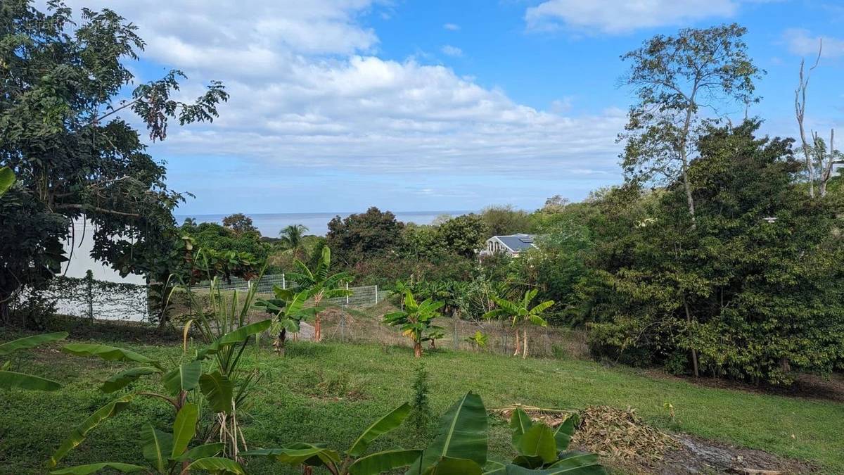 Terrain à VIEUX-HABITANTS