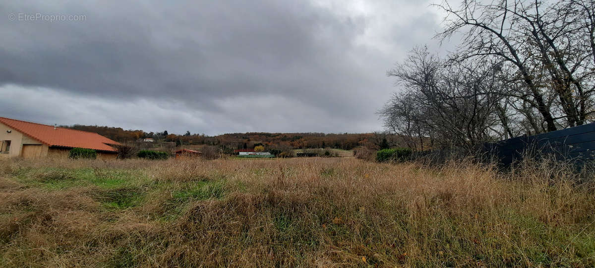 Terrain à BRIOUDE