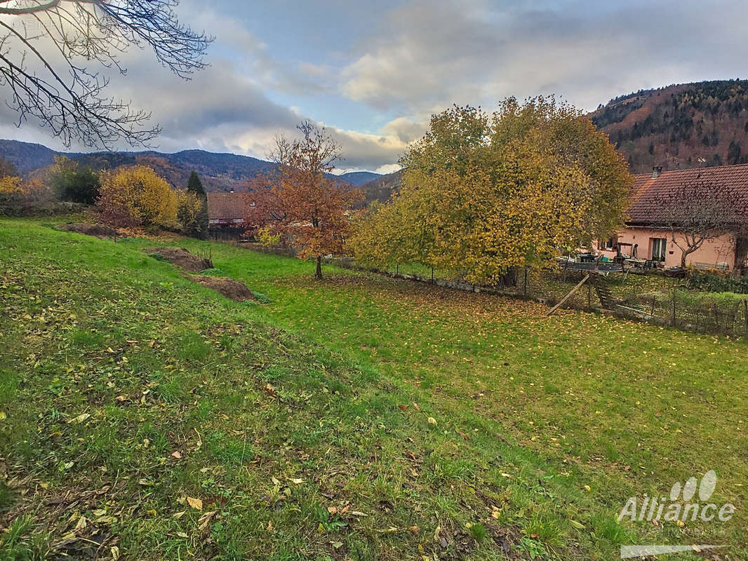 Terrain à GIROMAGNY