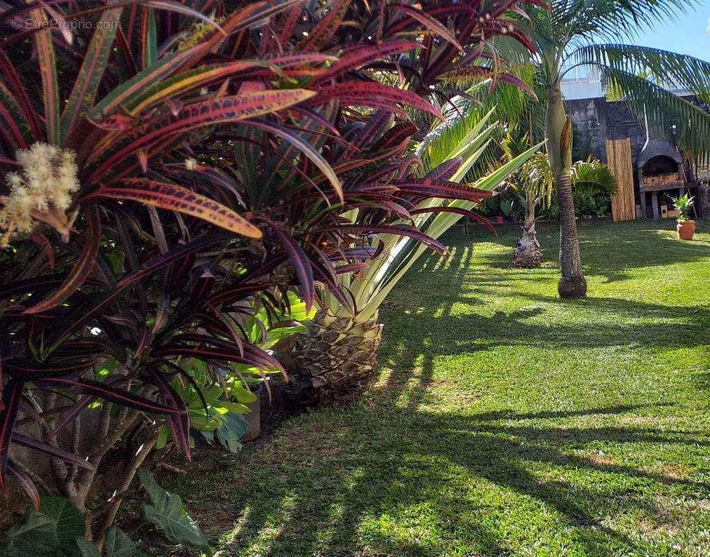 Maison à PETITE-ILE