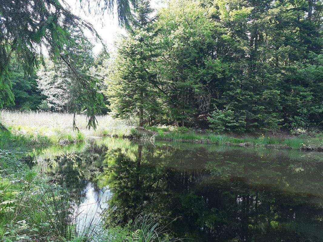 Terrain à FAUCOGNEY-ET-LA-MER