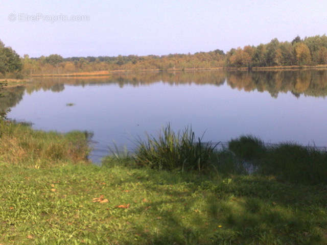 Terrain à CITERS