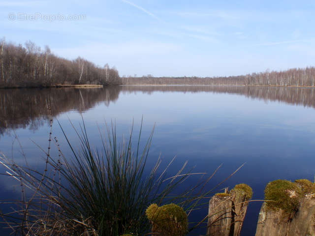 Terrain à CITERS