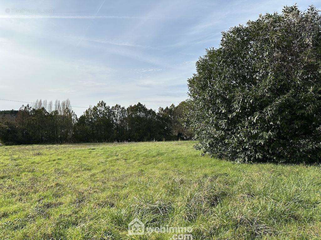 ... situé à 2km du centre de Mazé-Milon - Terrain à MAZE