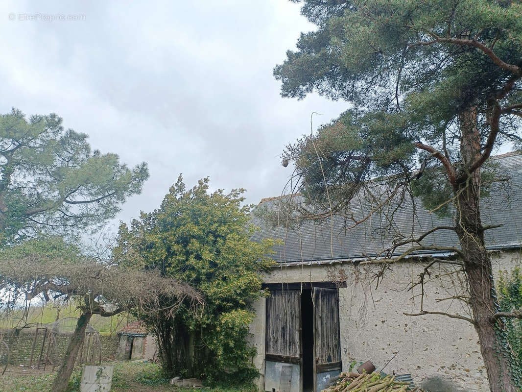 Maison à SAINT-CYR-SUR-LOIRE