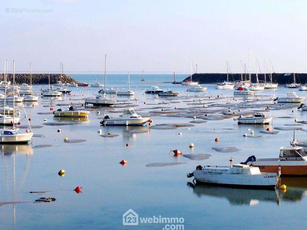 Port de Jard sur mer à proximité. - Appartement à JARD-SUR-MER