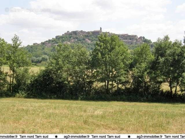 Terrain à CORDES-SUR-CIEL