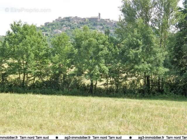 Terrain à CORDES-SUR-CIEL