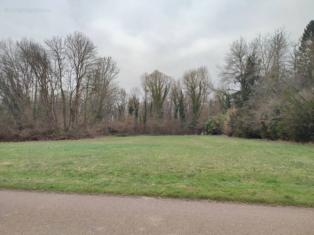 Terrain à NOGENT-SUR-SEINE