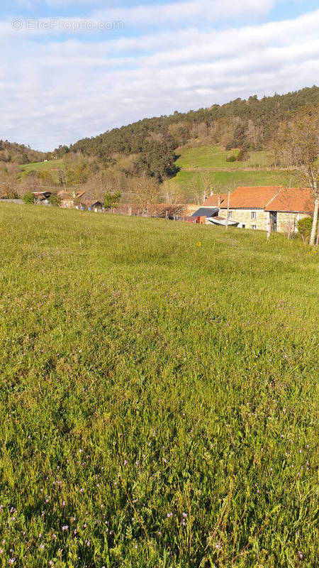 Terrain à SAINT-LAURENT-CHABREUGES