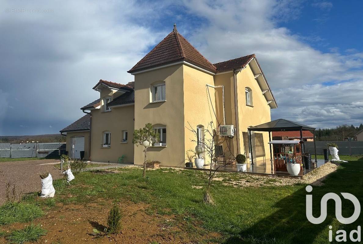 Photo 1 - Maison à PASSAVANT-LA-ROCHERE