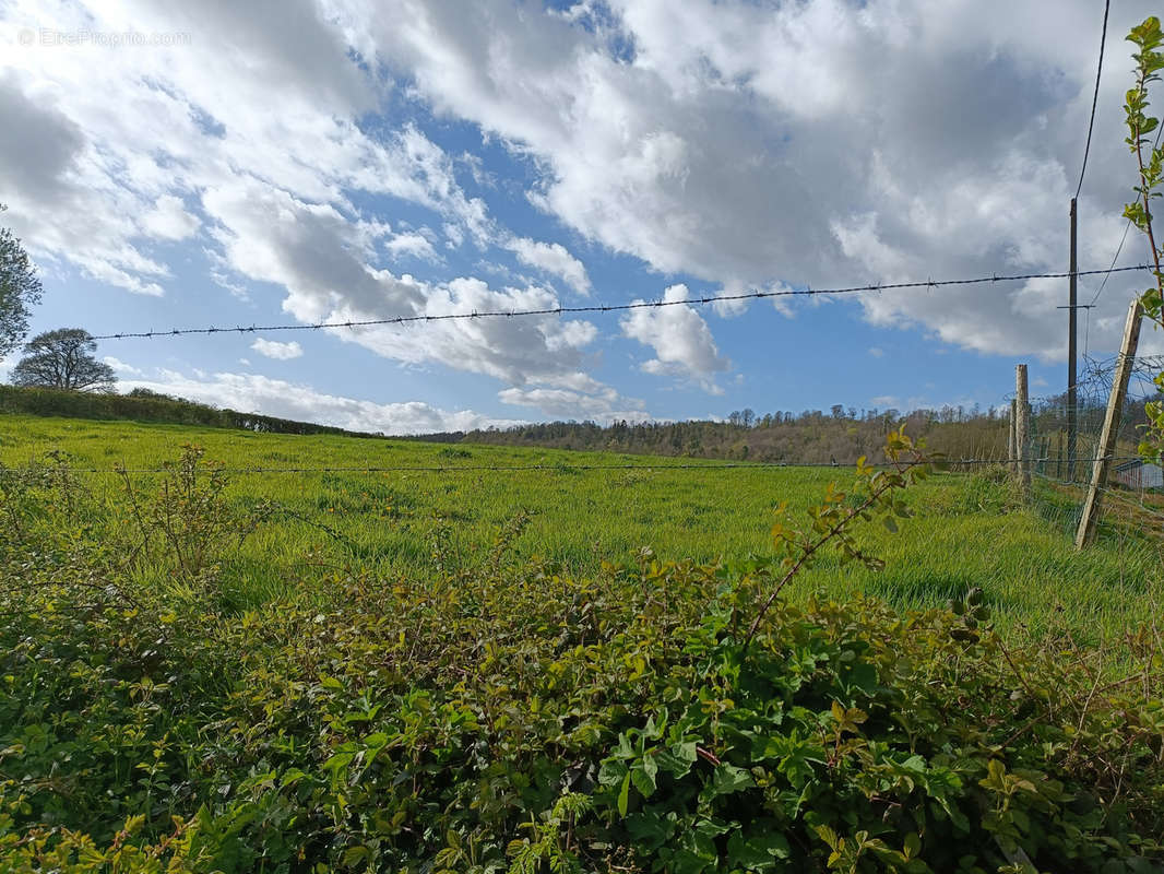 Terrain à NIELLES-LES-BLEQUIN