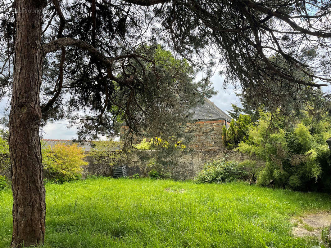 Maison à FERCE