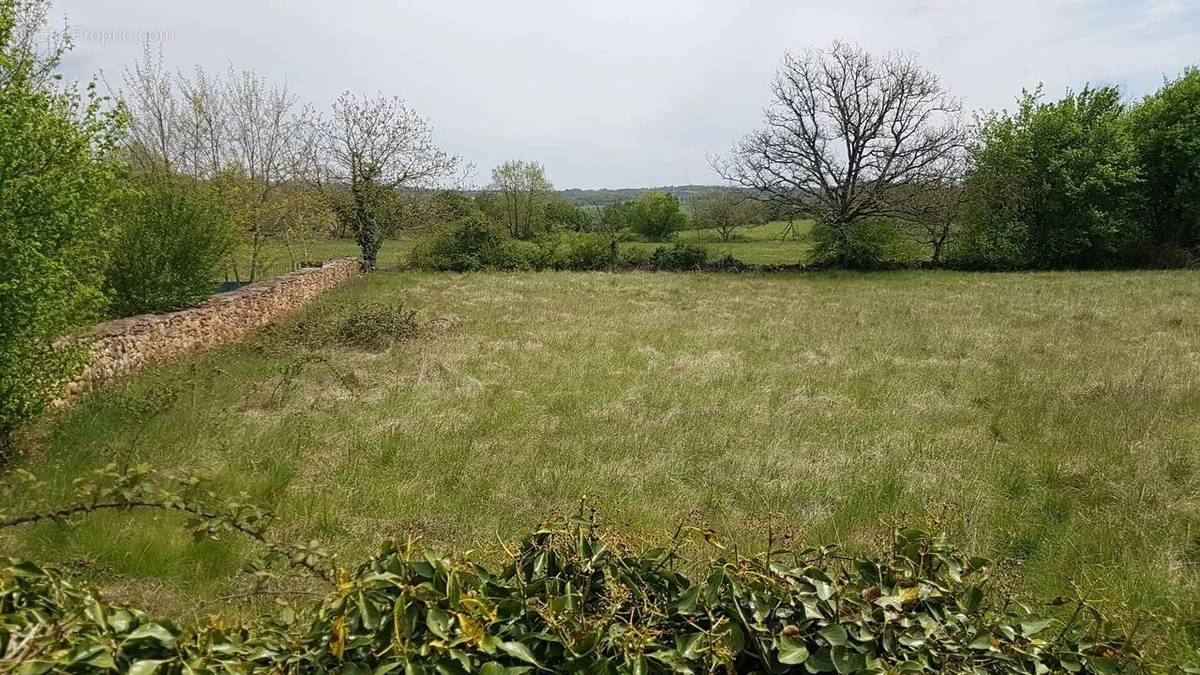 Terrain à CAYLUS