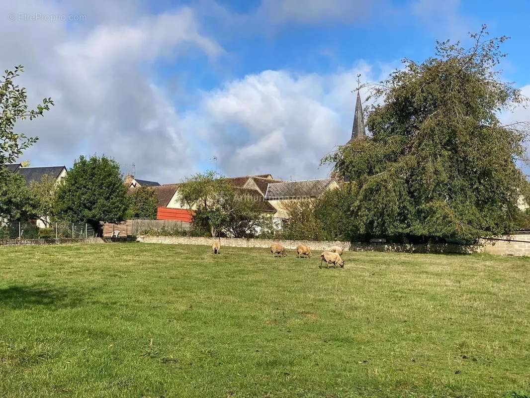 Terrain à BESSE-SUR-BRAYE