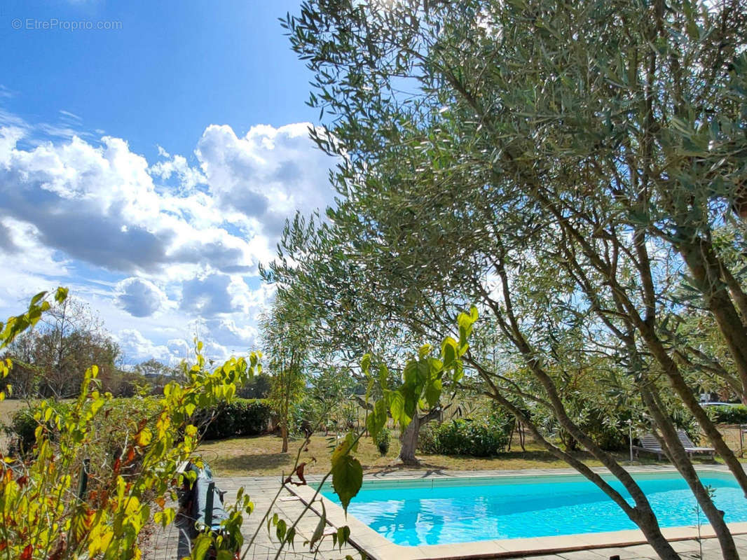 Pool garden - Maison à CASTELNAU-MAGNOAC