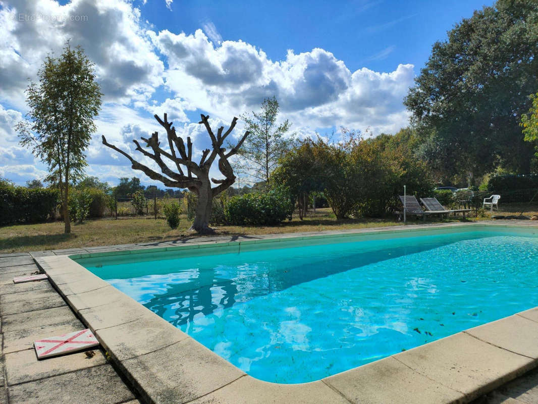 Pool - Maison à CASTELNAU-MAGNOAC