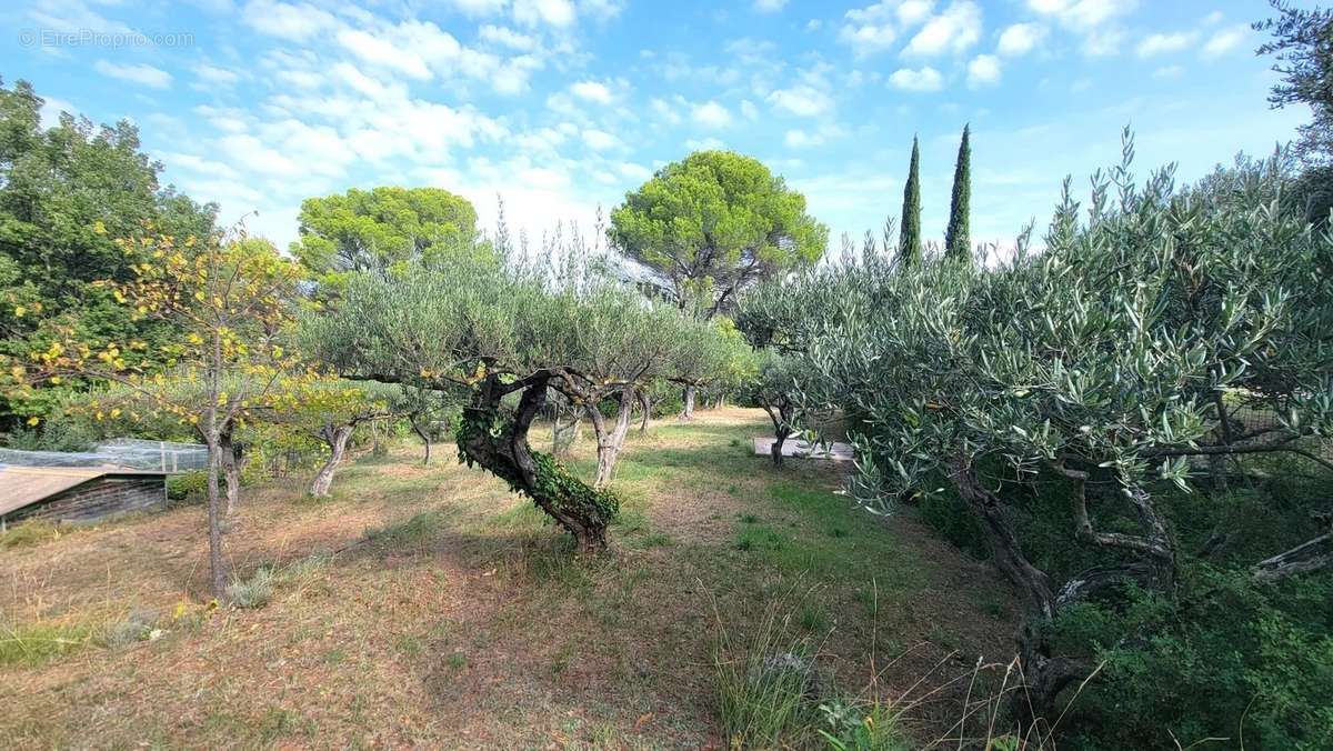 Terrain à SALERNES