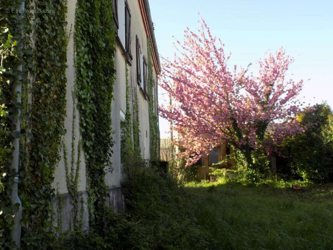 Maison à FRONTENAY-ROHAN-ROHAN