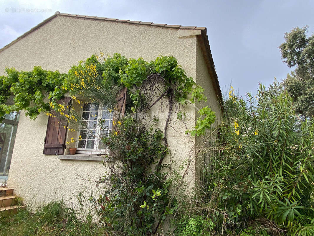 Maison à SAINT-GELY-DU-FESC