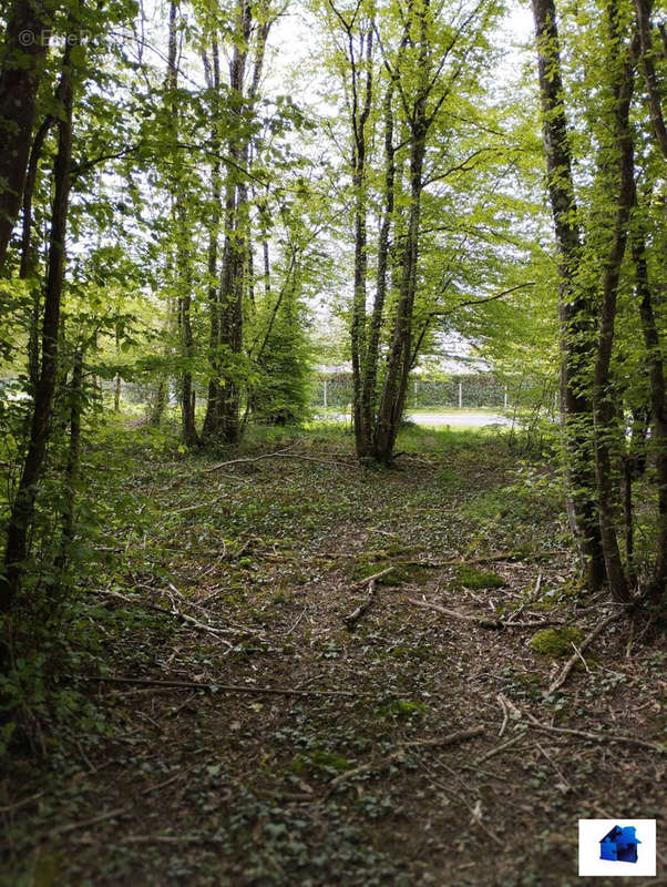 Terrain à MELLEROY