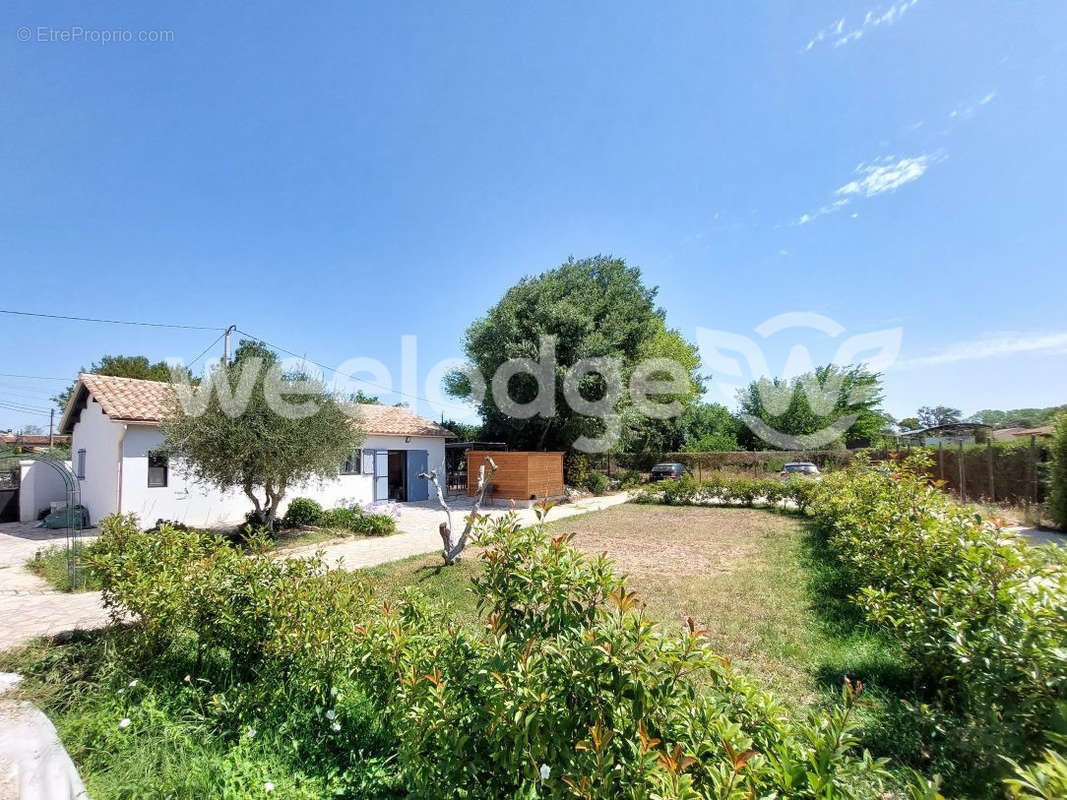 Logement T3 annexe - Maison à SAINT-MARTIN-DE-CRAU