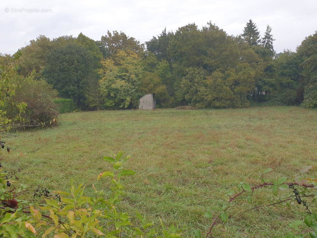 Terrain à SAINT-GERMAIN-DU-PUCH