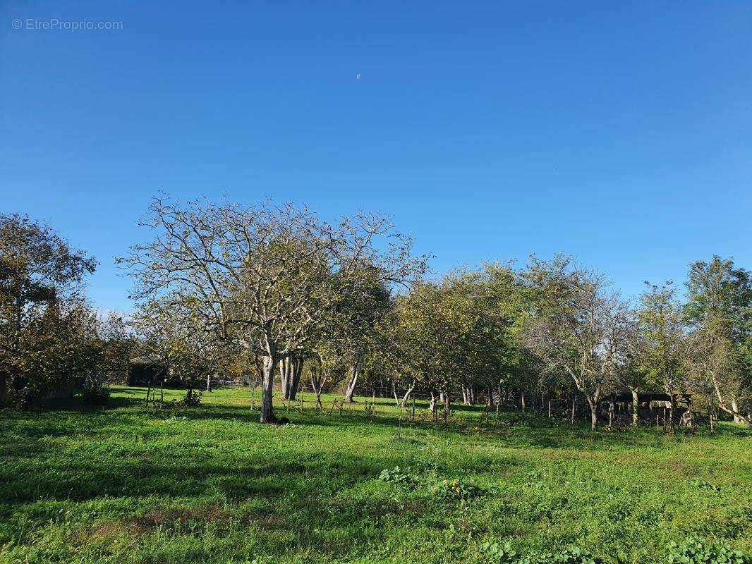 Terrain à SAINT-SAVIN