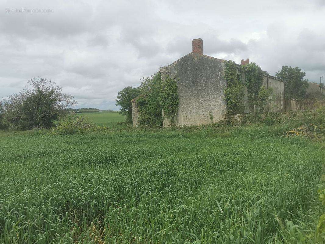 Terrain à MONTREUIL