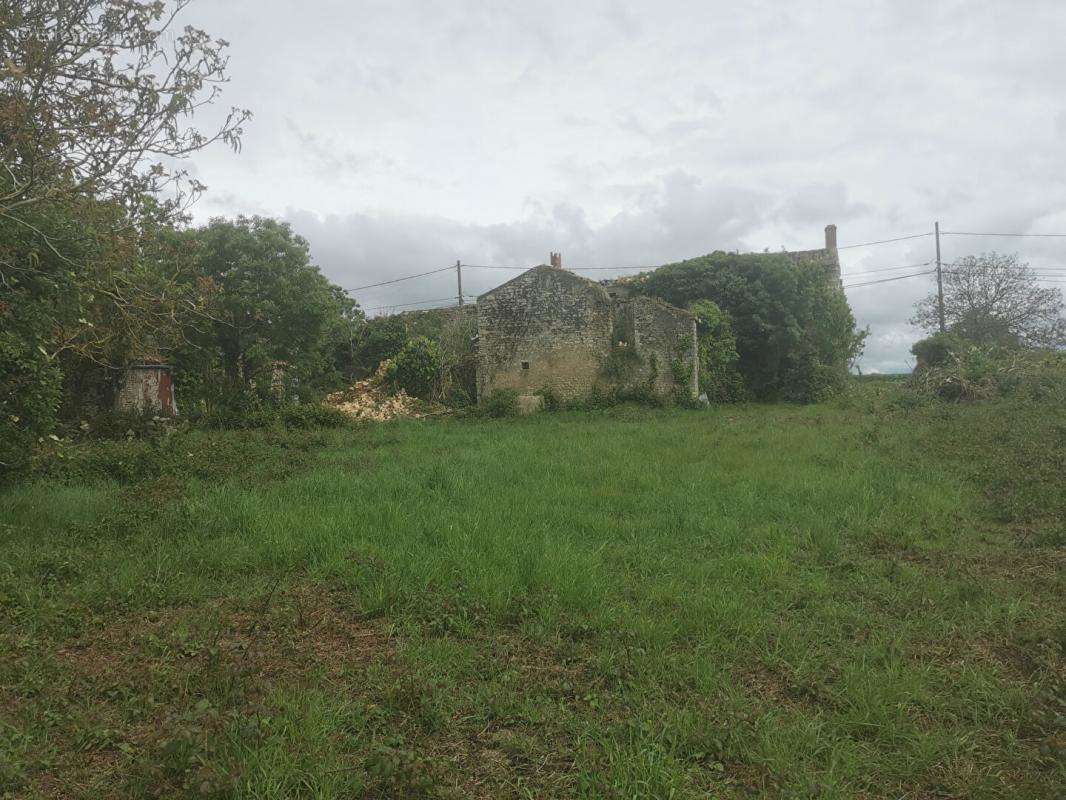 Terrain à MONTREUIL