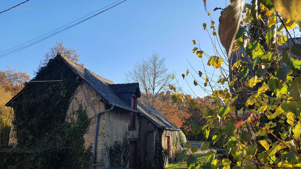 Maison à NOYAL-CHATILLON-SUR-SEICHE