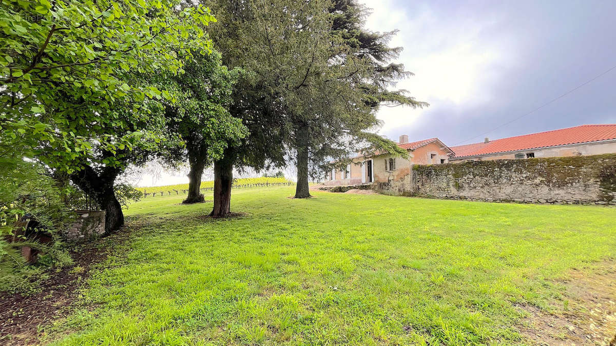 Maison à SAINT-ANDRE-DE-CUBZAC